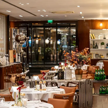 Royal بلوفديف